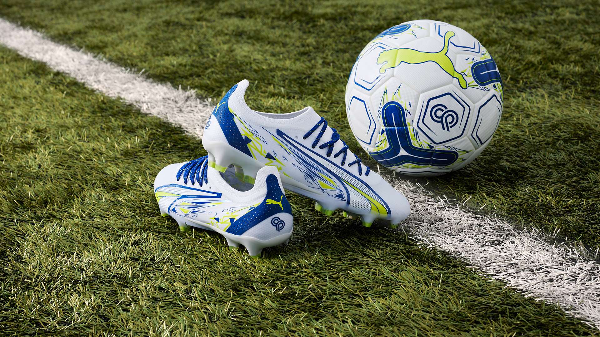 共同成长 共同成长